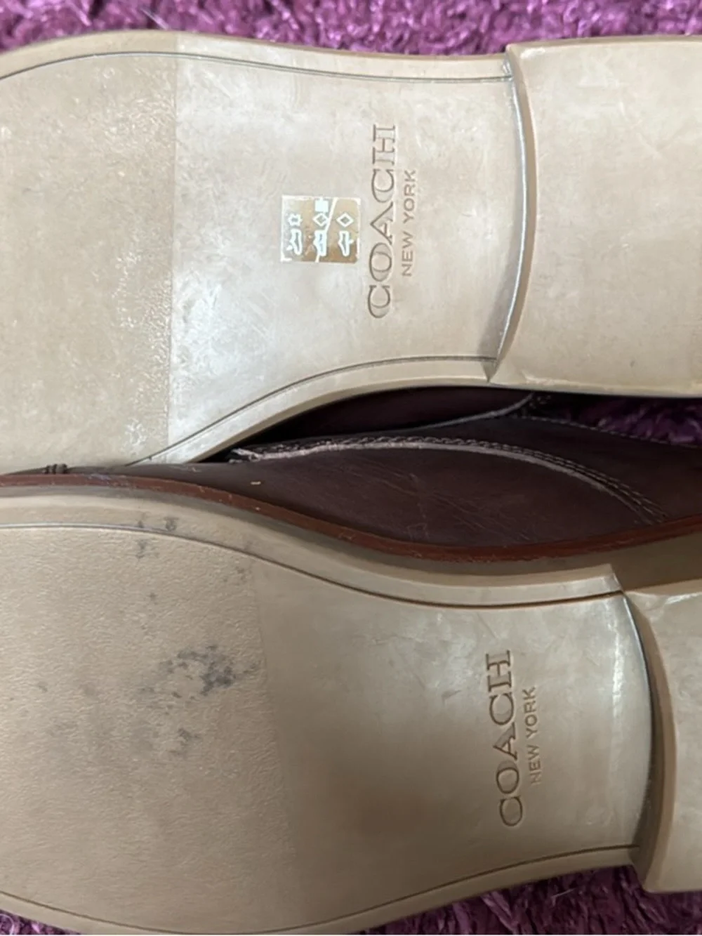 Coach elegant dark